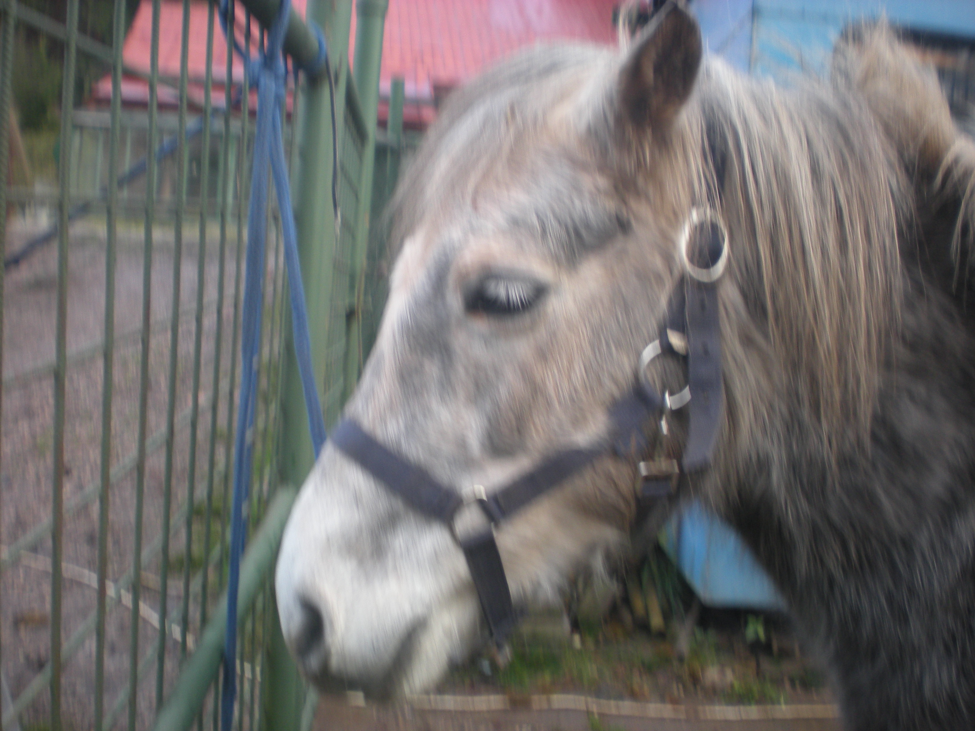 míša foto 2 008.jpg