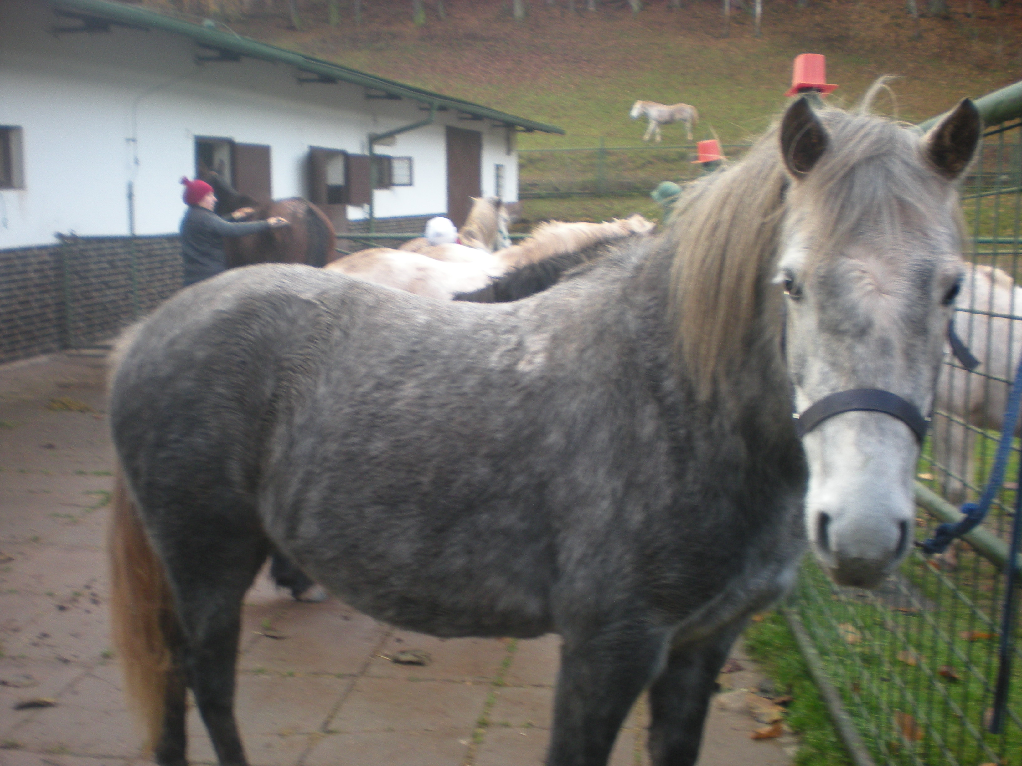 míša foto 2 009.jpg