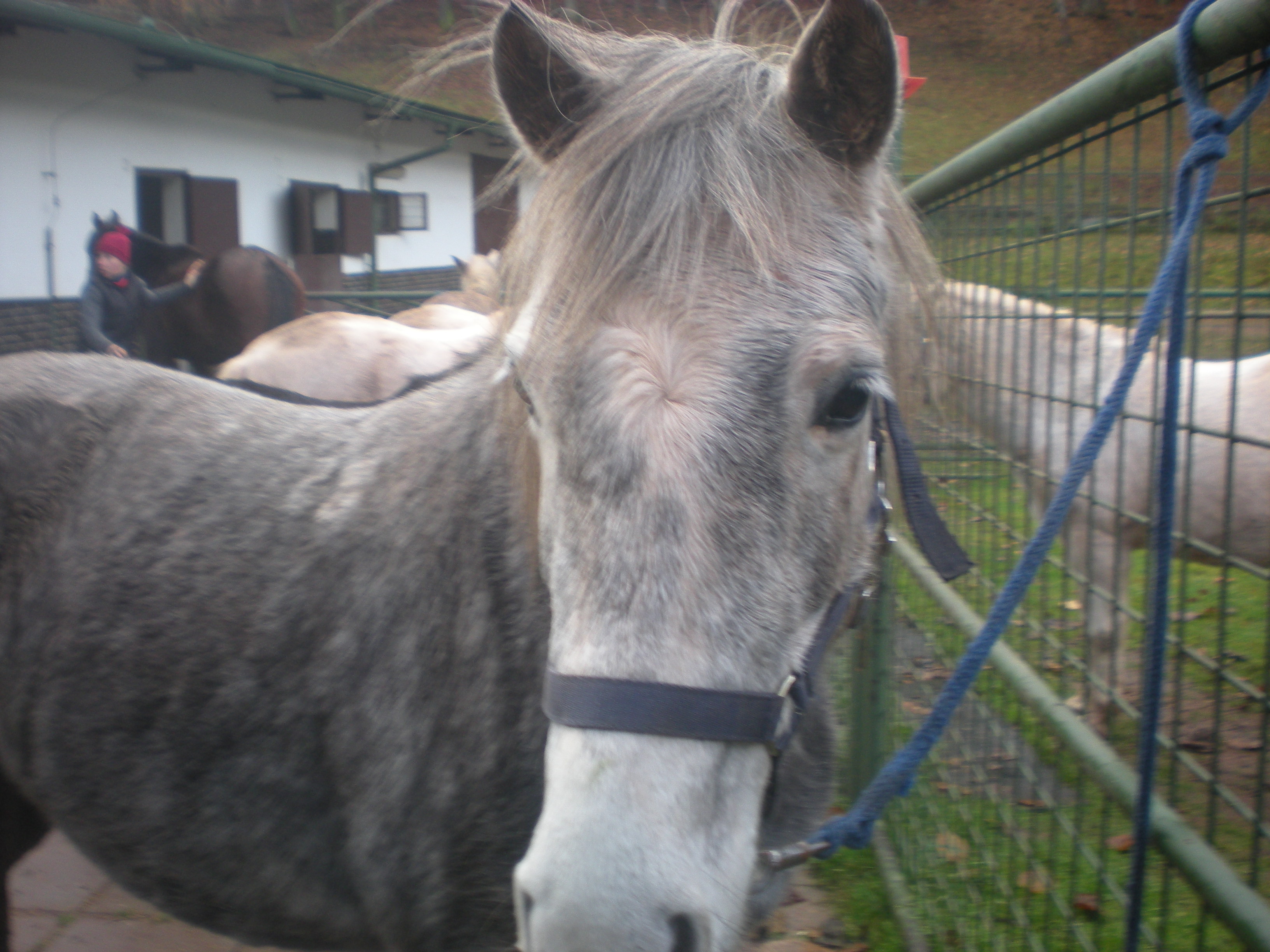 míša foto 2 010.jpg
